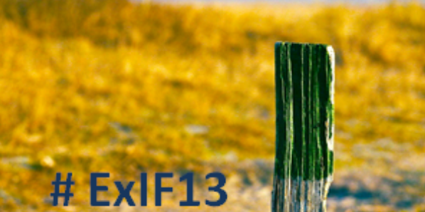 Discover the Island of Research (#ExIF13)