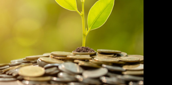 The Role of Socially Responsible Investments in achieving Sustainable Development Goals (2ed. 2021) 