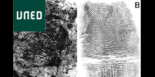 Informes Periciales Científicos: ¿Cómo Interpretarlos? (2ª ed)